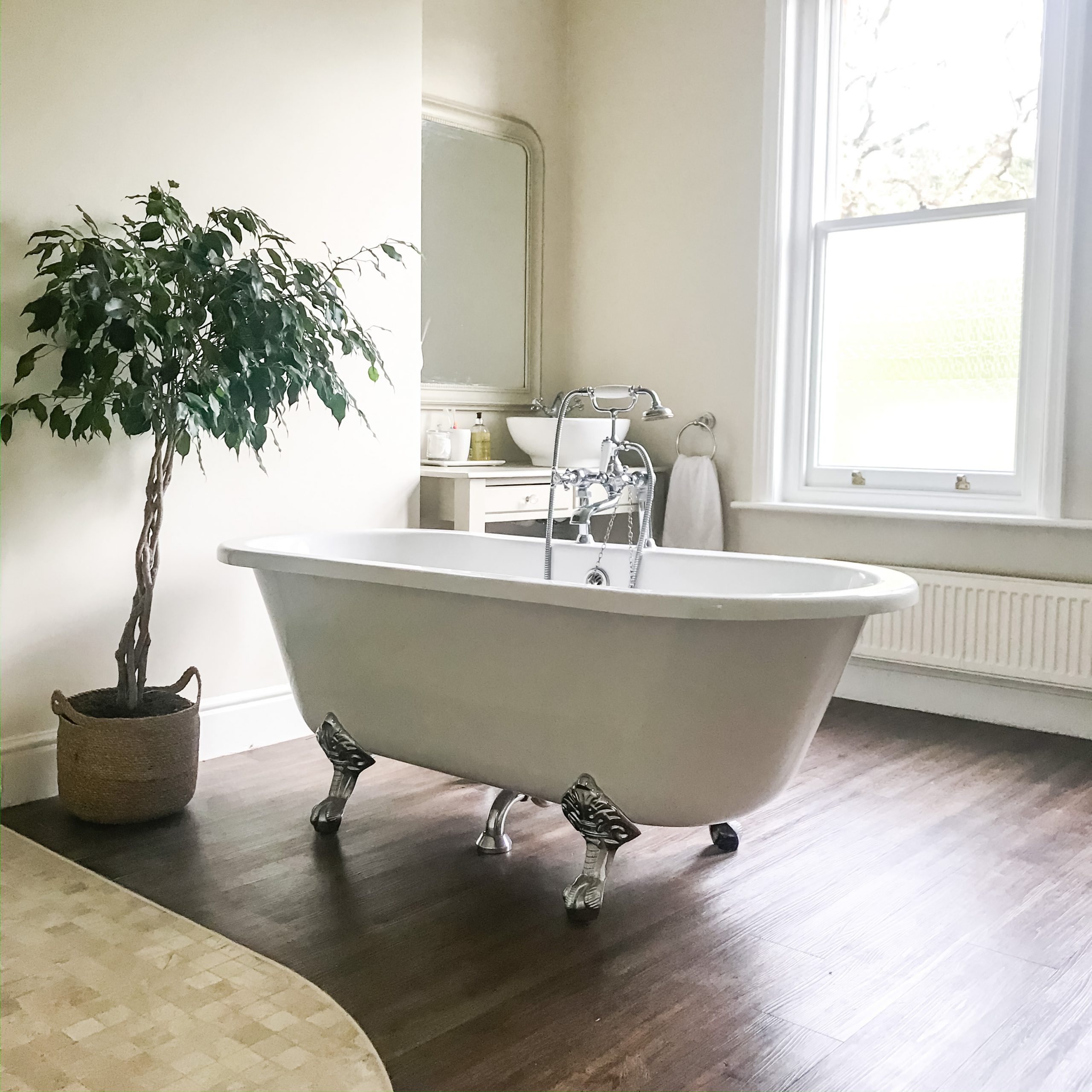 Bathroom sash window