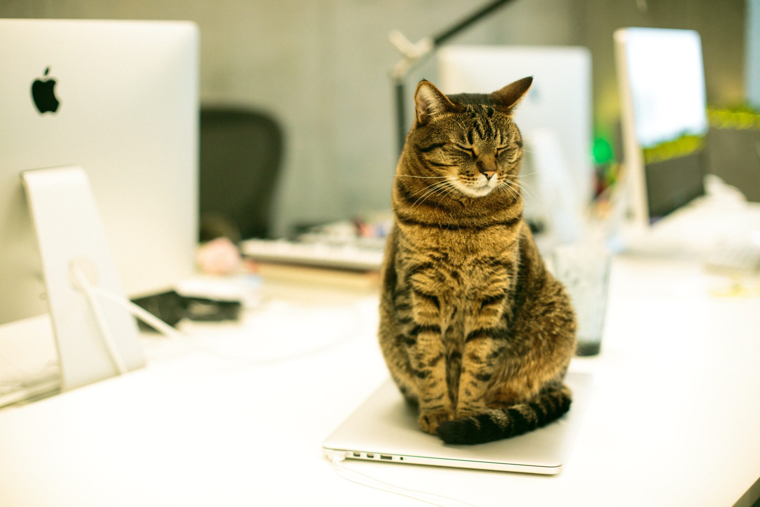 how to create a positive workspace